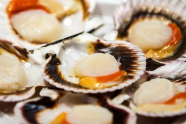 Bir plaka üzerinde taze deniz tarağı