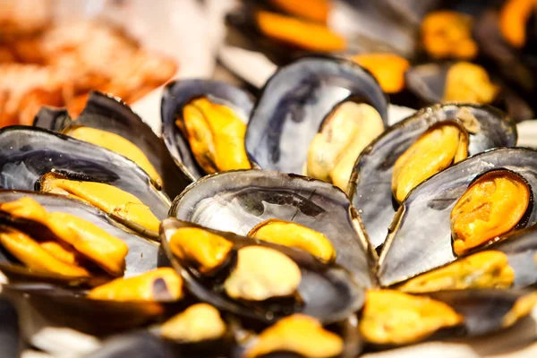 Moules fraîches sur une assiette — Photo