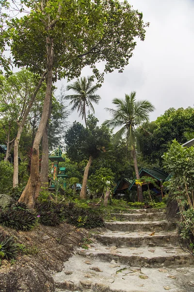 Ko Pha-Ngan v Thajsku — Stock fotografie