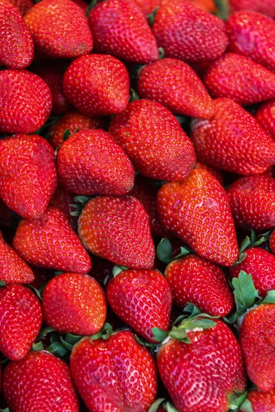 Pila de fresas maduras —  Fotos de Stock