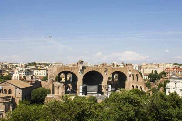 Palatino vista collina — Foto Stock