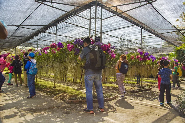 Bai orchidej a motýlí farma — Stock fotografie