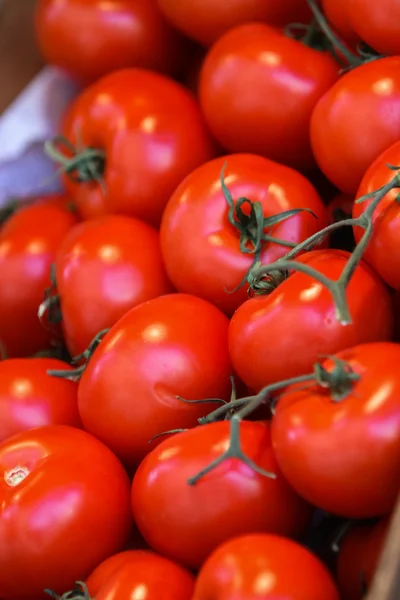 Fesh rijpe tomaten — Stockfoto