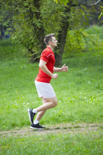公園を走っている男 — ストック写真