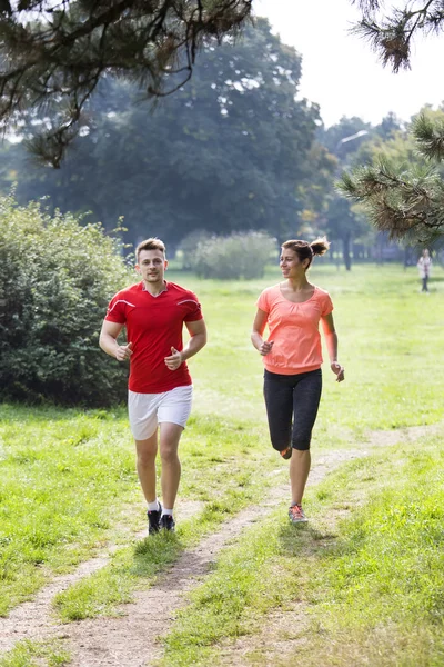 Formazione delle persone nel parco — Foto Stock