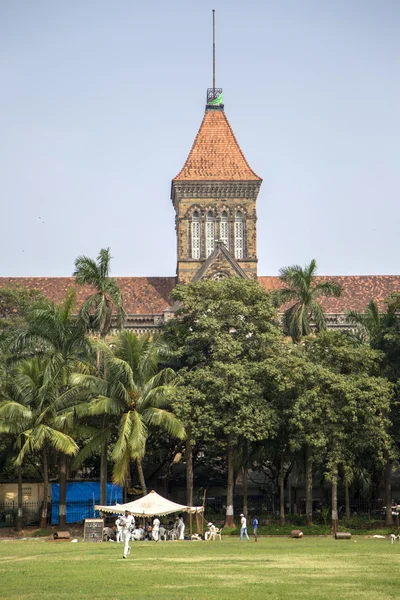 Cricket in Mumbai, India — Stock Photo, Image