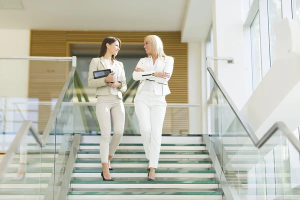 Young women in the office — Stock Photo, Image