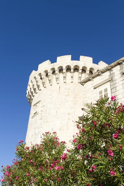 Casco antiguo de Korcula —  Fotos de Stock