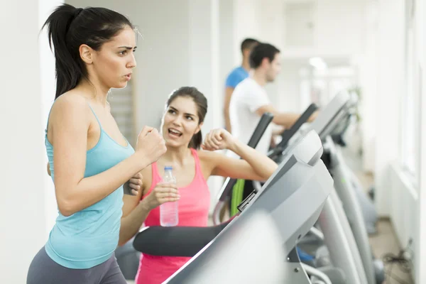 Young people in the gym — Stock Photo, Image