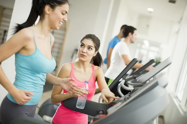 Jóvenes en el gimnasio — Foto de Stock