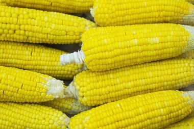 Olgun Mısır yığını