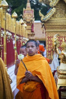 WAT phra DOI suthep Tapınak