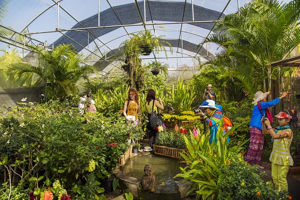 Bai Orchideen- und Schmetterlingsfarm — Stockfoto