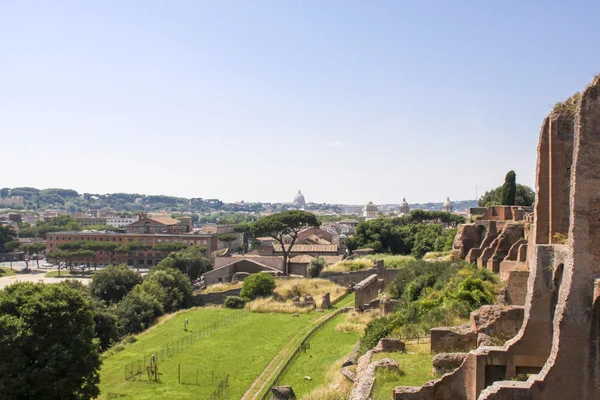 Palatine Hill view — Stock Photo, Image