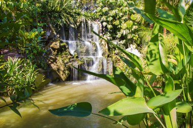 Bai orkide ve kelebek çiftliği
