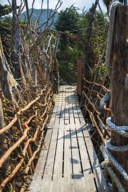 Orman yolu görünümünü