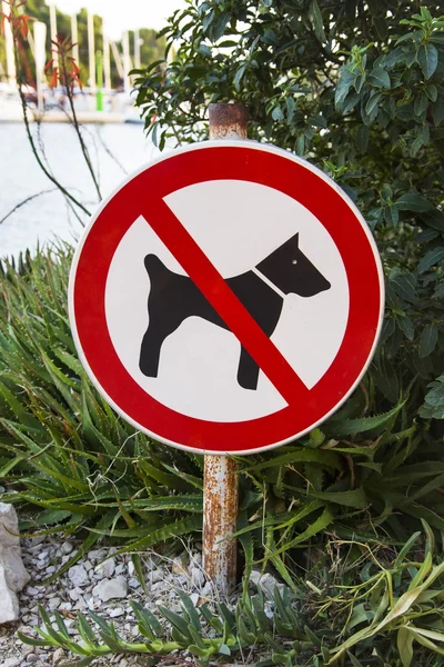 No dogs sign — Stock Photo, Image