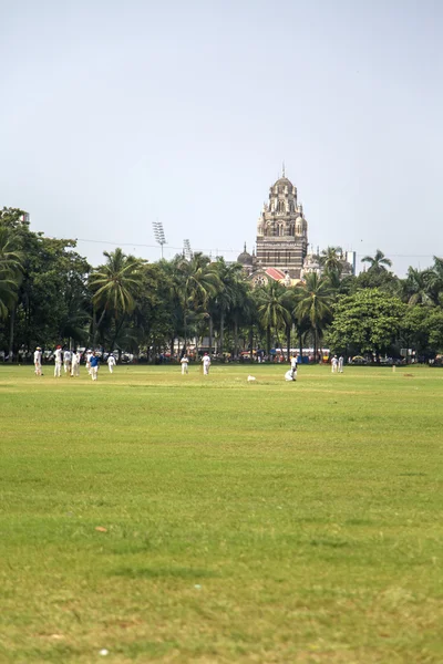 Cricket in Mumbai, India — Stock Photo, Image