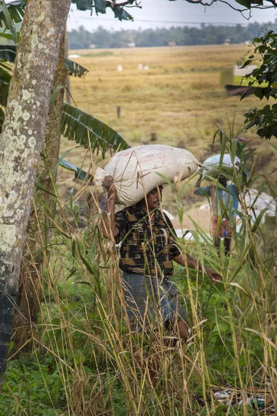 Unindetified man at backwaters — Stock Photo, Image