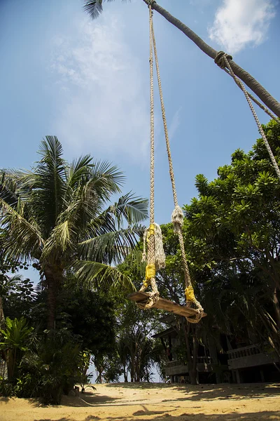 Swing en Ko Pha Ngan en Tailandia — Foto de Stock