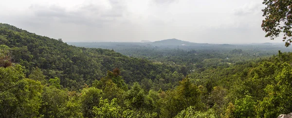 Wald in ko pha ngan in Thailand — Stockfoto