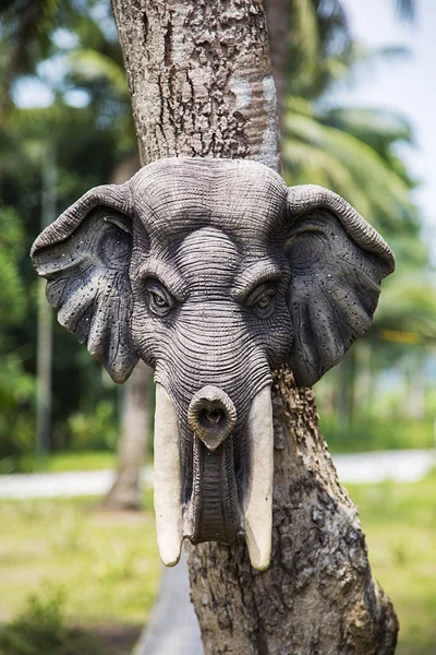 Bir ağaç kafasına fil — Stok fotoğraf