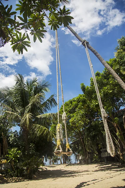 Swing in Ko Pha Ngan in Thailand — Stock Photo, Image