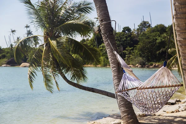 View of hammock on the beach — Stock Photo, Image