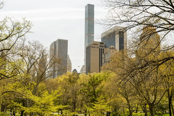 Central Park i New York City — Stockfoto