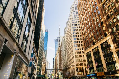 New York Şehri
