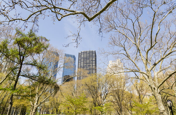 View from the park in New York City