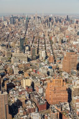 New York Şehri