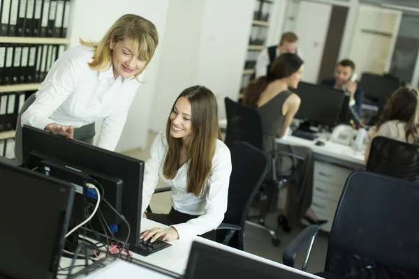 Women working in the office — Stock Photo, Image