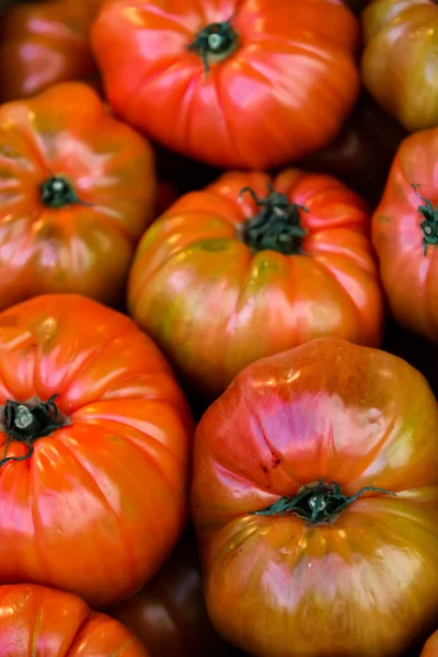 Red tomatoes at the market — Stock Photo, Image