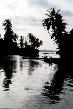 Önemsizden Unindetified adama