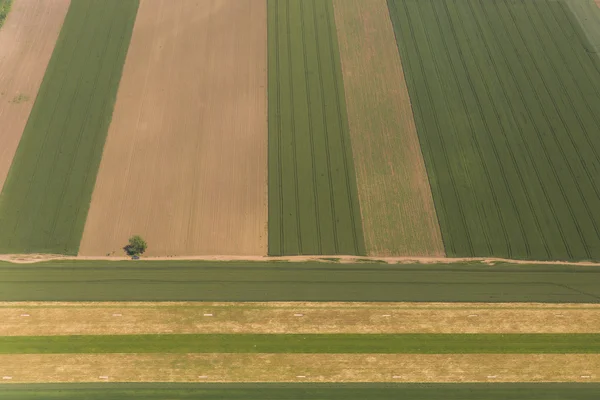 La terra della Vojvodina dal cielo — Foto Stock