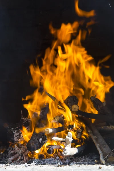 Visa loggar i brand — Stockfoto