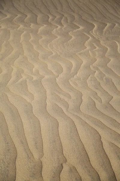모래 질감 배경 — 스톡 사진