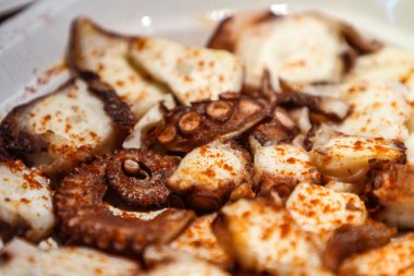 Ahtapot tabak bir tabak üzerinde