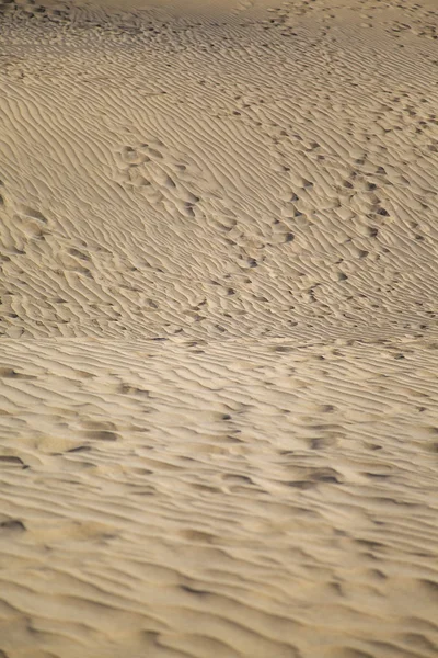 Sand textur bakgrund — Stockfoto