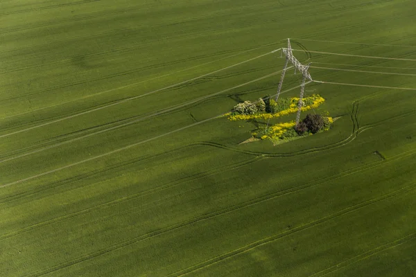 Linie elektroenergetyczne — Zdjęcie stockowe