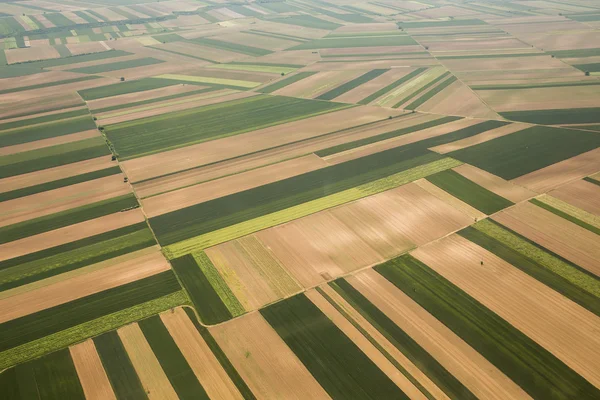 Grunty orne w Voijvodina — Zdjęcie stockowe