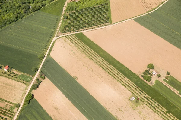 Grunty orne w Voijvodina — Zdjęcie stockowe