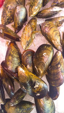 Buz üzerinde taze midye