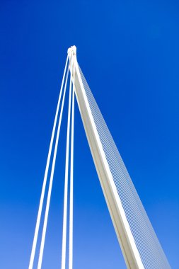 Valencia Sanat ve Bilim Şehri.