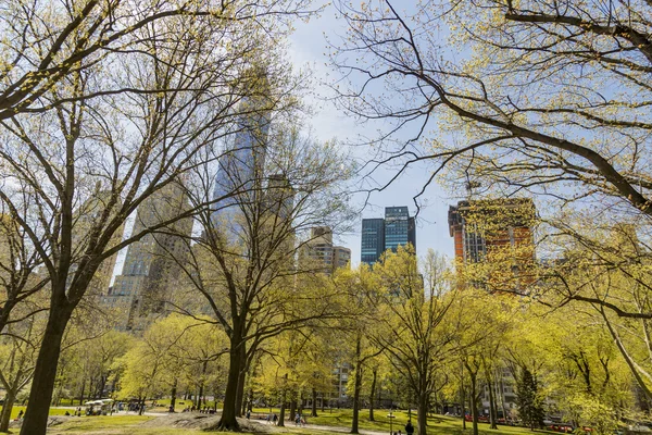 Central Park in NYC — Stock Photo, Image