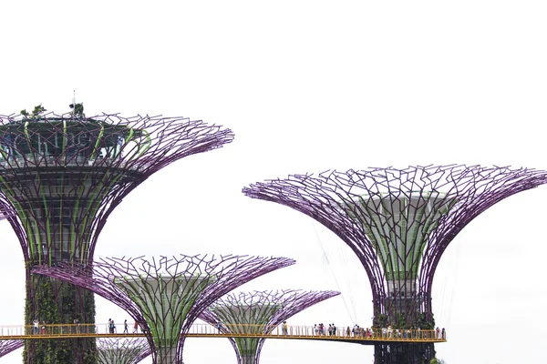 Supertree Grove à Gardens by the Bay — Photo