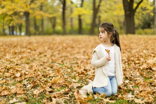 Ragazza nel parco autunnale — Foto Stock