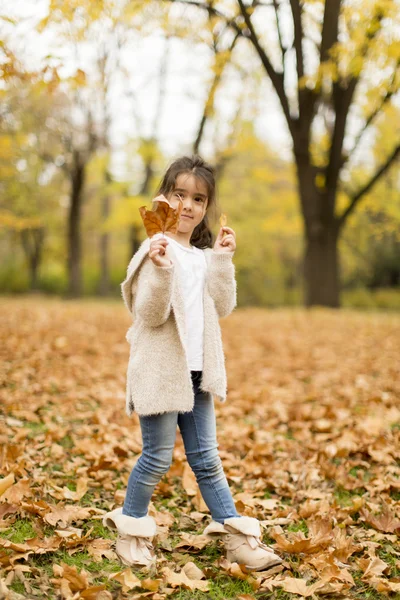 Sonbahar parkında küçük bir kız — Stok fotoğraf