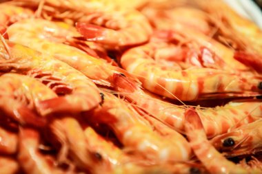 Taze karides balık pazarında